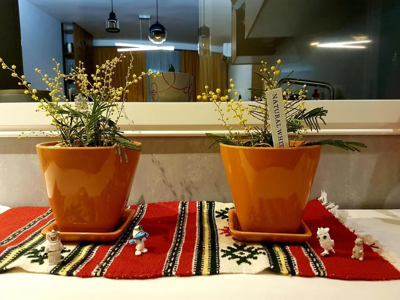 Central Luxury Apartment Tirana Albanië